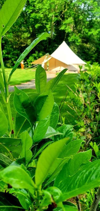 Bell Tent Village Nottingham Buitenkant foto